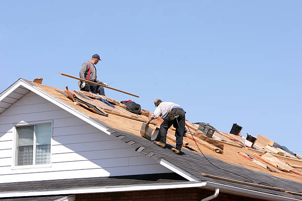 Best Storm Damage Roof Repair  in West Belmar, NJ